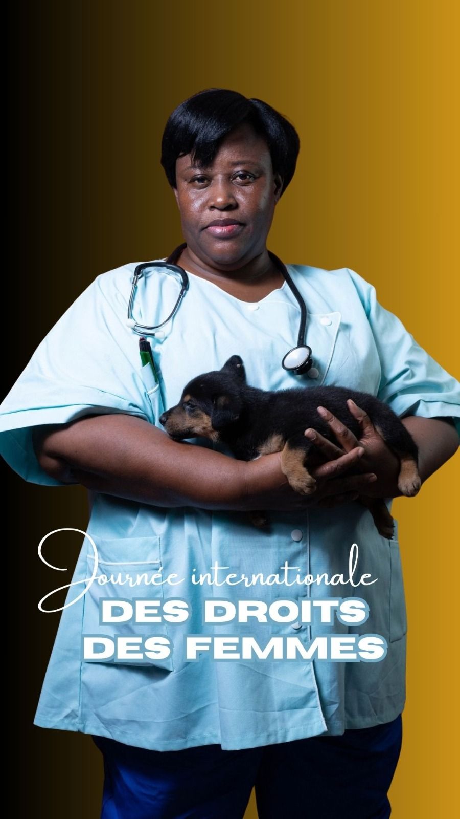Consultation vétérinaire